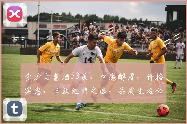 金沙古酱酒53度，口感醇厚，价格实惠，三款经典之选，品质生活必备，尊享价格大揭秘，一触即达