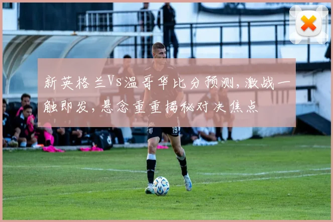 新英格兰Vs温哥华比分预测,激战一触即发,悬念重重揭秘对决焦点