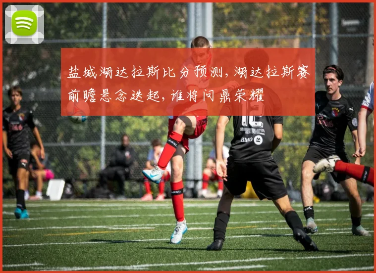 盐城湖达拉斯比分预测,湖达拉斯赛前瞻悬念迭起,谁将问鼎荣耀