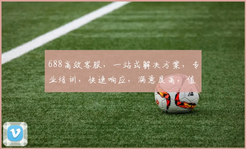 688高效客服，一站式解决方案，专业培训，快速响应，满意度高，值得信赖