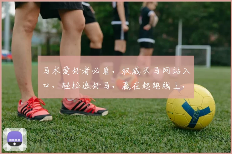 马术爱好者必看，权威买马网站入口，轻松选好马，赢在起跑线上，两大亮点不容错过